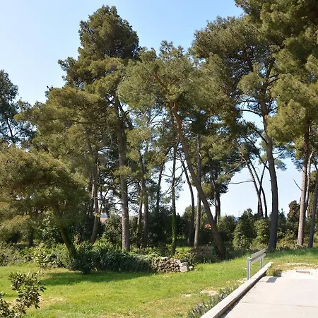 Apartment Manto Free Parking Rovinj Exterior photo